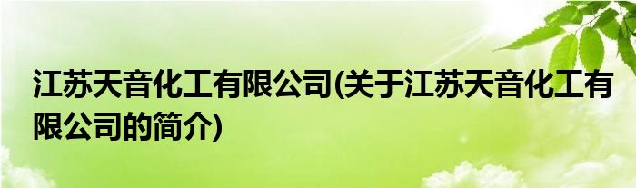 十大滚球体育官方网站江苏天音化工有限公司(关于江苏天音化工有